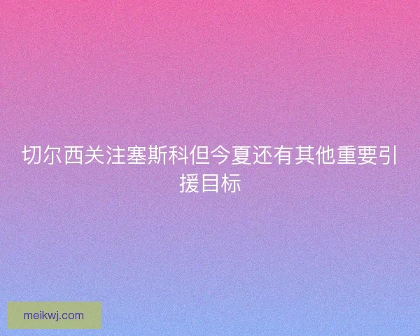 切尔西关注塞斯科但今夏还有其他重要引援目标