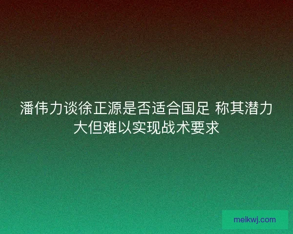 潘伟力谈徐正源是否适合国足 称其潜力大但难以实现战术要求