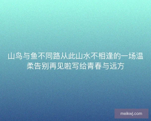 山鸟与鱼不同路从此山水不相逢的一场温柔告别再见啦写给青春与远方